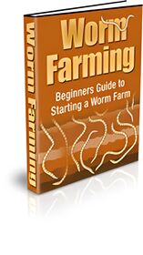 Worm Farming small