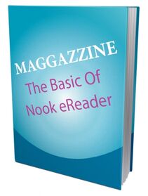 Nook Reader small