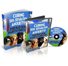 Curing Dog Separation Blog small