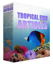 Tropical Fish PLR Content small