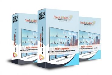 Dog 4K Stock Videos small